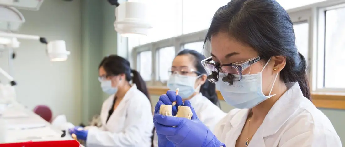 Top 5 Universities in Malaysia to Study Dentistry