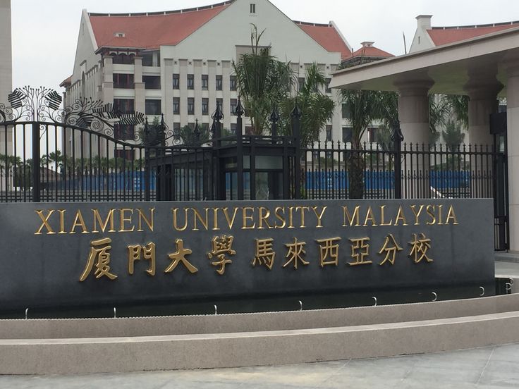 Dream of Studying Abroad? 100% Scholarships in Malaysia Await!